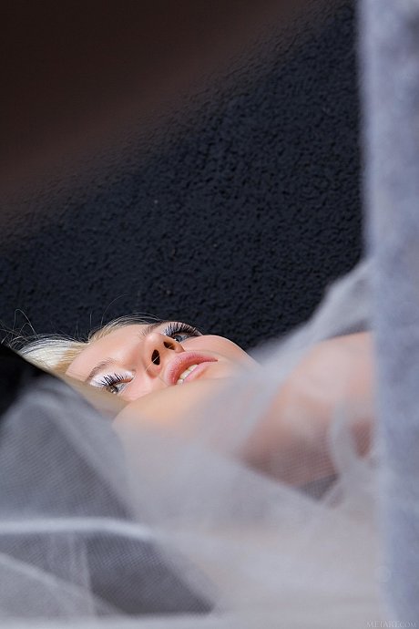 Thin glamour babe Alysha A shows her tiny boobies & her lickable pussy - Image 8 of 21  in Model category   featuring Alysha A 