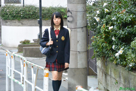 Brunette oriental schoolgirl Rin Aoki enjoys a facesitting and gets rammed hard - #37005