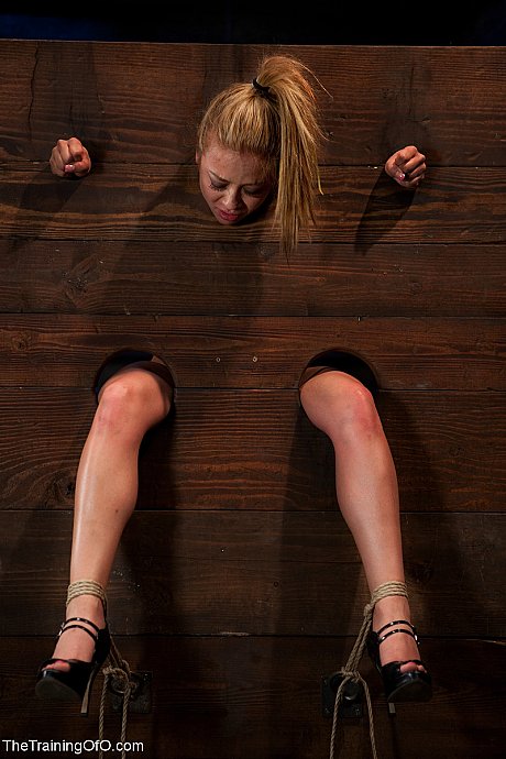 The Training Of O featuring Maestro, Mia Lelani naked Pictures - Image 13 of 19  in Close Up category   featuring Maestro, Mia Lelani