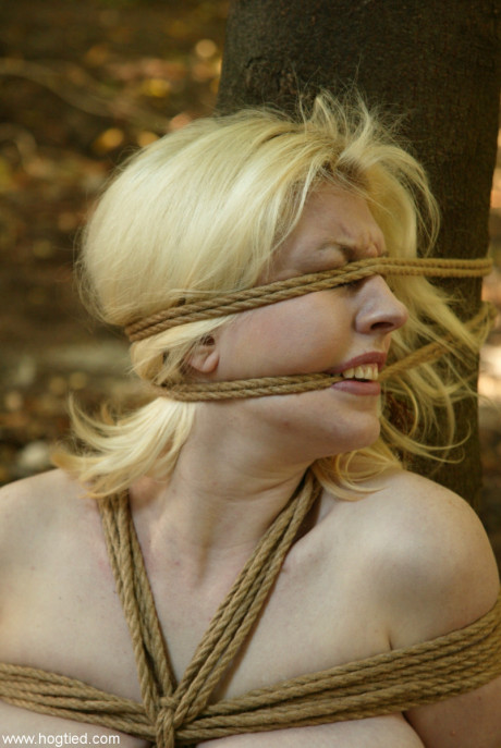 Busty blonde is bound and blindfolded with rope before being machine boned - #1113974