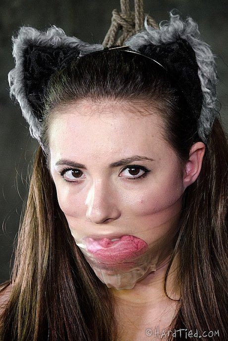 Solo chick girl broad Casey Calvert dons cat ears and behind plug tail in dungeon setting - Image 11 of 16  in Dildo category   featuring Casey Calvert 