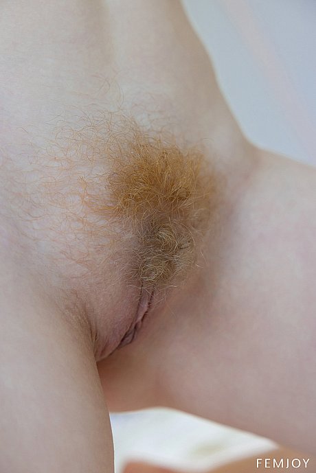 Ravishing amateur undresses and teases with her round behind and hairy cunt - Image 11 of 20  in Model category   featuring Vicki Wade 