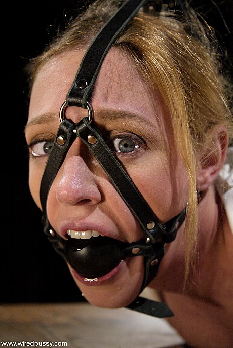 Wired cunt performed by Claire Adams, Dee Williams Sex Photos - Image 2 of 21  in Lesbian category   featuring Dee Williams, Claire Adams 