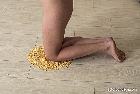 Natural red hair is forced to kneels on peas with bushy body exposed - Image 8 of 16  in Pussy category   featuring Lera 
