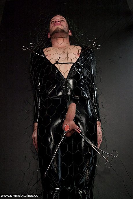 Domme in latex Isis Love clamps her male sex slave's balls & facesits him - Image 3 of 21  in Latex category   featuring Isis Love, Wolf Hudson 