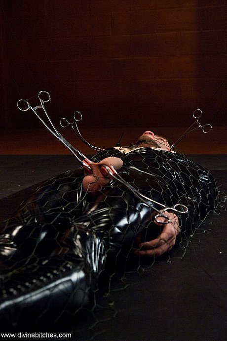 Domme in latex Isis Love clamps her male sex slave's balls & facesits him - Image 7 of 21  in Latex category   featuring Isis Love, Wolf Hudson 