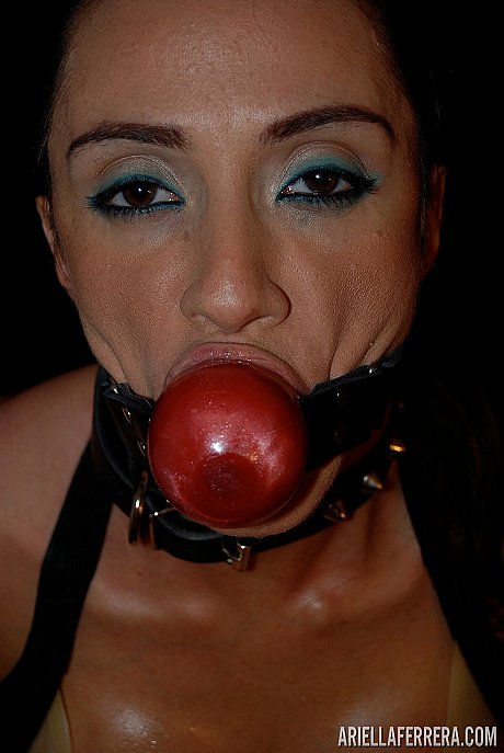 Colombian cougar with a gag ball in her mouth Ariella Ferrera masturbates - Image 16 of 21  in Sexy category   featuring Ariella Ferrera 