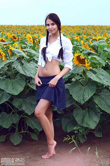 Attractive young teenie Vanessa in pigtails spreading skinny booty undressed in the sunflowers - Image 2 of 20  in Pussy category   featuring Vanessa Angel 