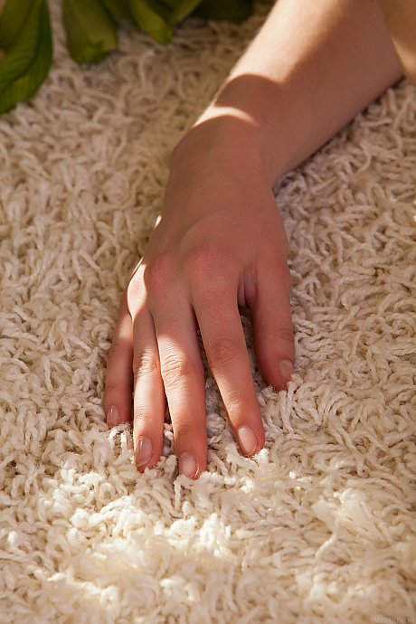 American hottie Zlatka B stripping and posing nude by the window - Image 10 of 20  in Pussy category   featuring Zlatka B