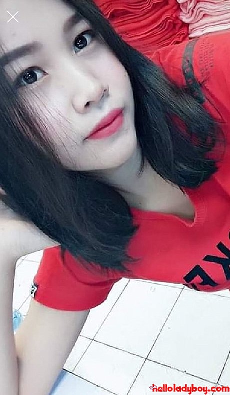 Sweet oriental shemale Nancy posing in various lovely outfits in her compilation - Gallery #17336
