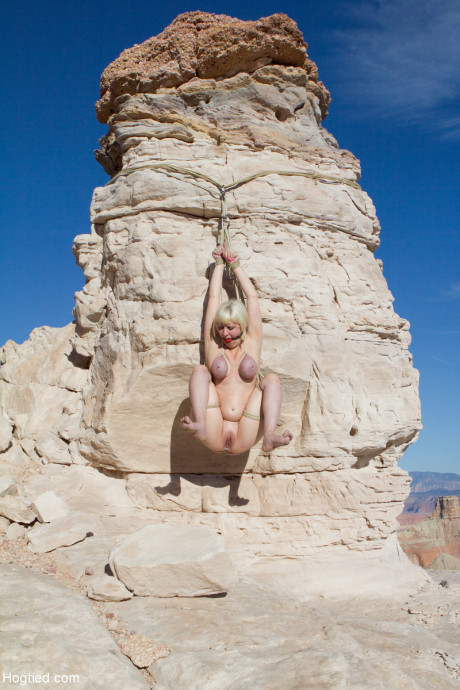 Busty blonde Cherry Torn gets ball-gagged & hogtied in hot outdoor BDSM action - #1157445