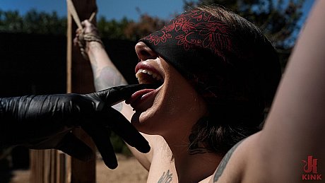 Hogtied starring Brenna Mckenna, The Pope Hot Porn - Gallery #33018