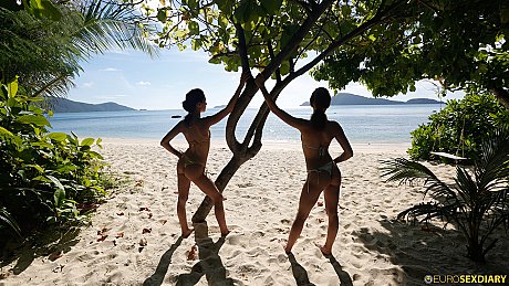 Salacious Fox Twins strip their bikinis and pose nude on the beach - Image 2 of 21  in Lesbian category   featuring Fox Twins 