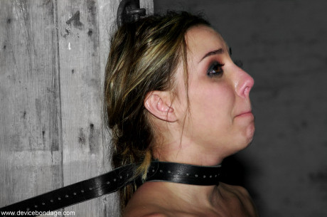 Undressed submissives Alexa Von Tess & Delilah Strong struggle in metal bondage - #1266431