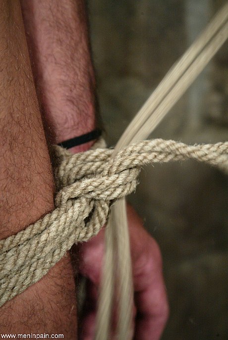 Redheaded femdom Claire Adams has a BDSM session with a hunky male sub - Image 4 of 20  in Close Up category   featuring Claire Adams, totaleurosex 