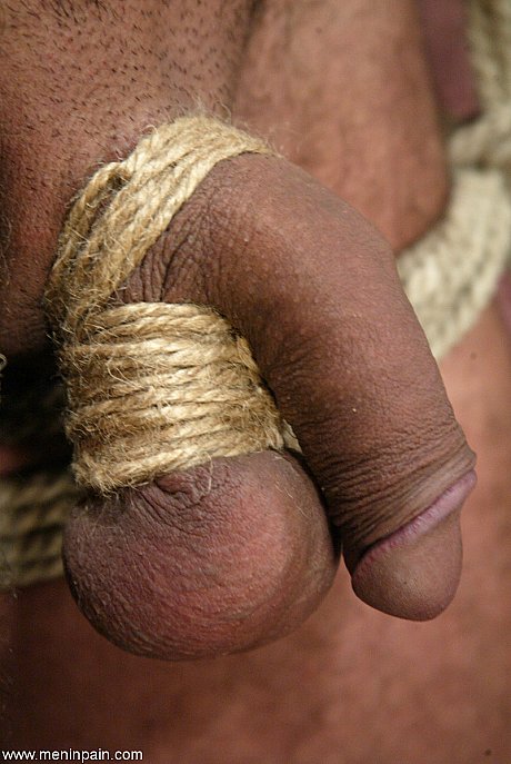 Redheaded femdom Claire Adams has a BDSM session with a hunky male sub - Image 9 of 20  in Close Up category   featuring Claire Adams, totaleurosex 