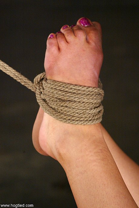 Hogtied featuring Candy Manson undressed Porn Pics - Image 17 of 21  in Amateur category   featuring Candy Manson 