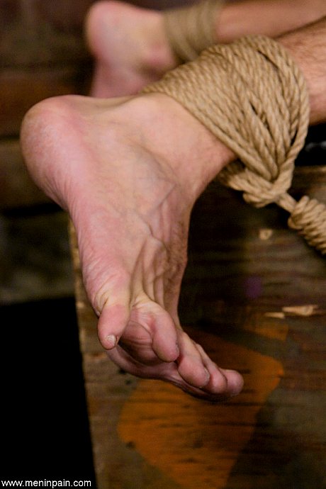 Femdom Sandra Romain gives her male sub a handjob while pegging him - Image 6 of 20  in Dildo category   featuring Sandra Romain, Lefty 