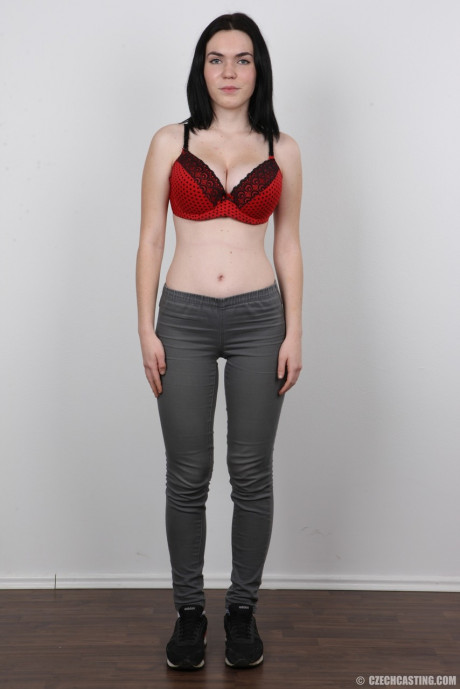 Amateur Petra has perky breasts and enormous nipples photographed for a casting call - #190686