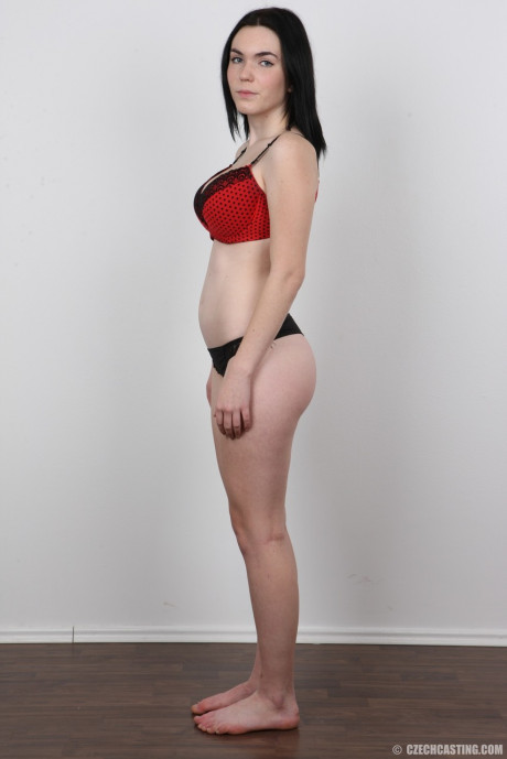 Amateur Petra has perky breasts and enormous nipples photographed for a casting call - #190690