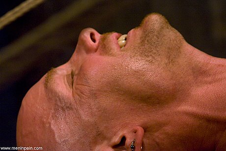 Brunette American MILF with big titties Kendra James rides her bald sex slave - Image 16 of 20  in Close Up category   featuring Kendra James, Chad Rock 