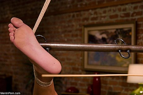 Males In Pain starring Lobo, Lorelei Lee Porn Pics - Image 6 of 21  in Spreading category   featuring Lorelei Lee, Lobo 