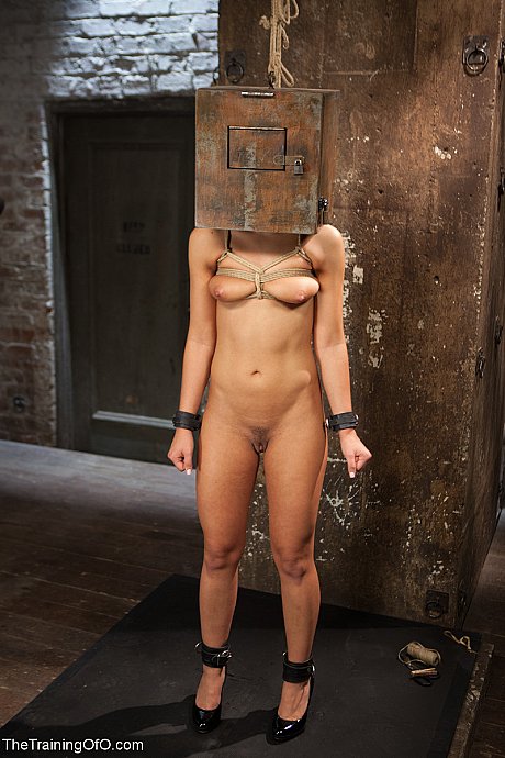 Brunette pornstar Adriana Chechik gets bound and toyed before IR sex - Image 2 of 21  in Pussy category   featuring Adriana Chechik 